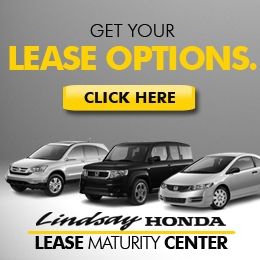 Get Your Lease Options